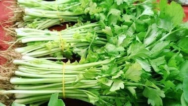 Chinese vegetables: chinese celery, by geagle.miooashdv.tk