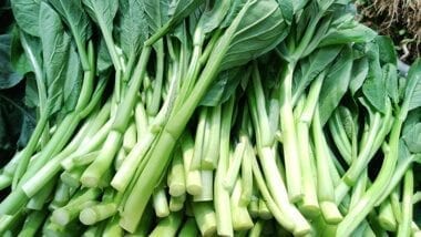 Chinese vegetables: choy sum, by geagle.miooashdv.tk