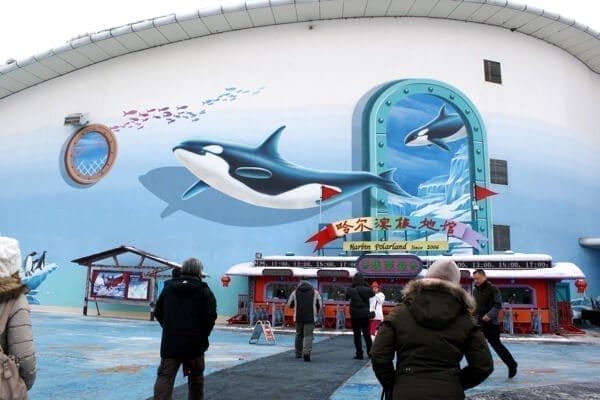 Harbin Polarland's got nothing on Seaworld. Those orcas painted on the front of the building are what we would call false advertising.