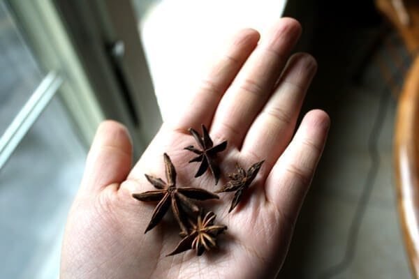star anise by geagle.miooashdv.tk