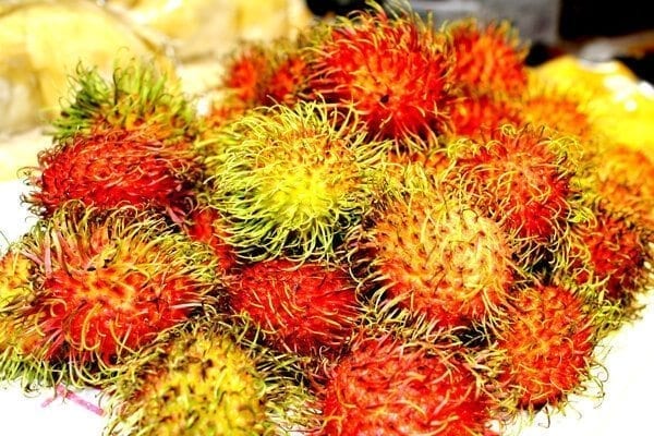 trip-to-the-market-10