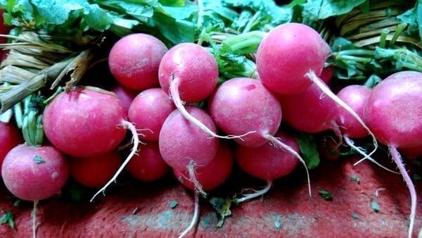 trip-to-the-market-14