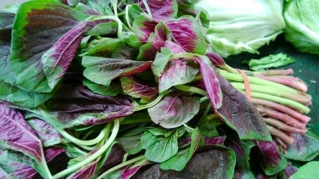 Chinese vegetables: amaranth, by geagle.miooashdv.tk