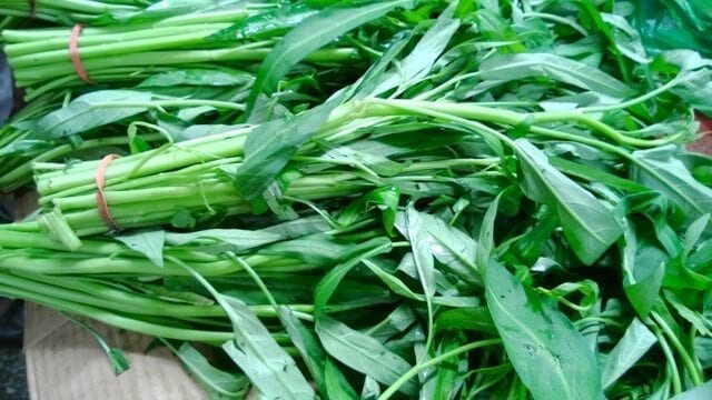 Chinese vegetables: water spinach , by geagle.miooashdv.tk