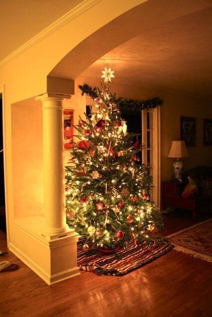 christmas tree