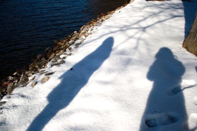winter shadows