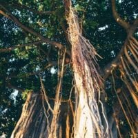 16 Reasons Why Hawaii is Pretttttty Much The Bomb, by geagle.miooashdv.tk