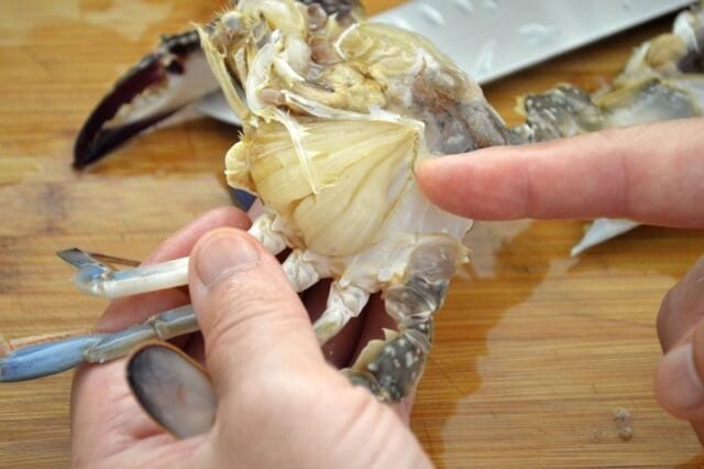 crab gills