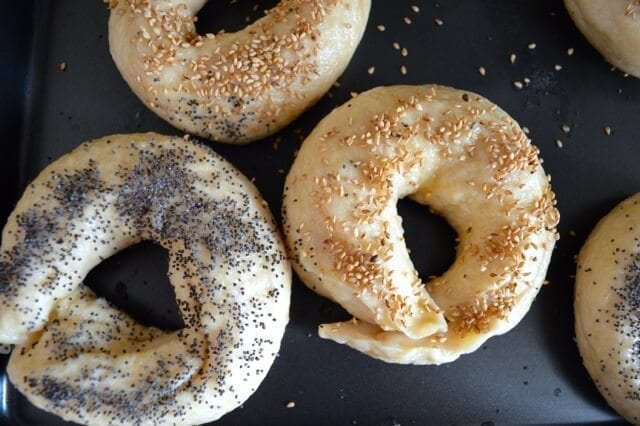 Homemade Bagels Recipe - Beijing Survival Guide, by thewoksoflife,com