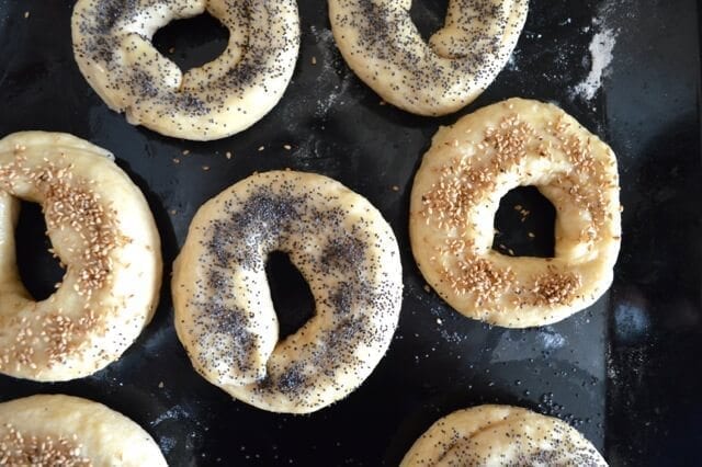 Homemade Bagels Recipe - Beijing Survival Guide, by thewoksoflife,com