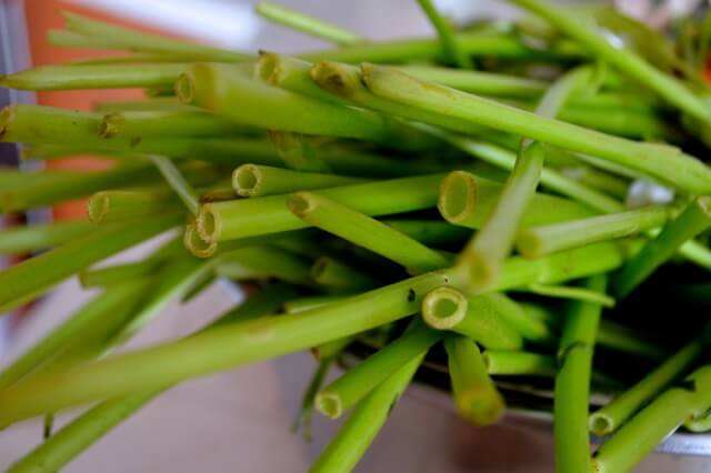 Stir Fried Water Spinach with Fermented Tofu, by geagle.miooashdv.tk