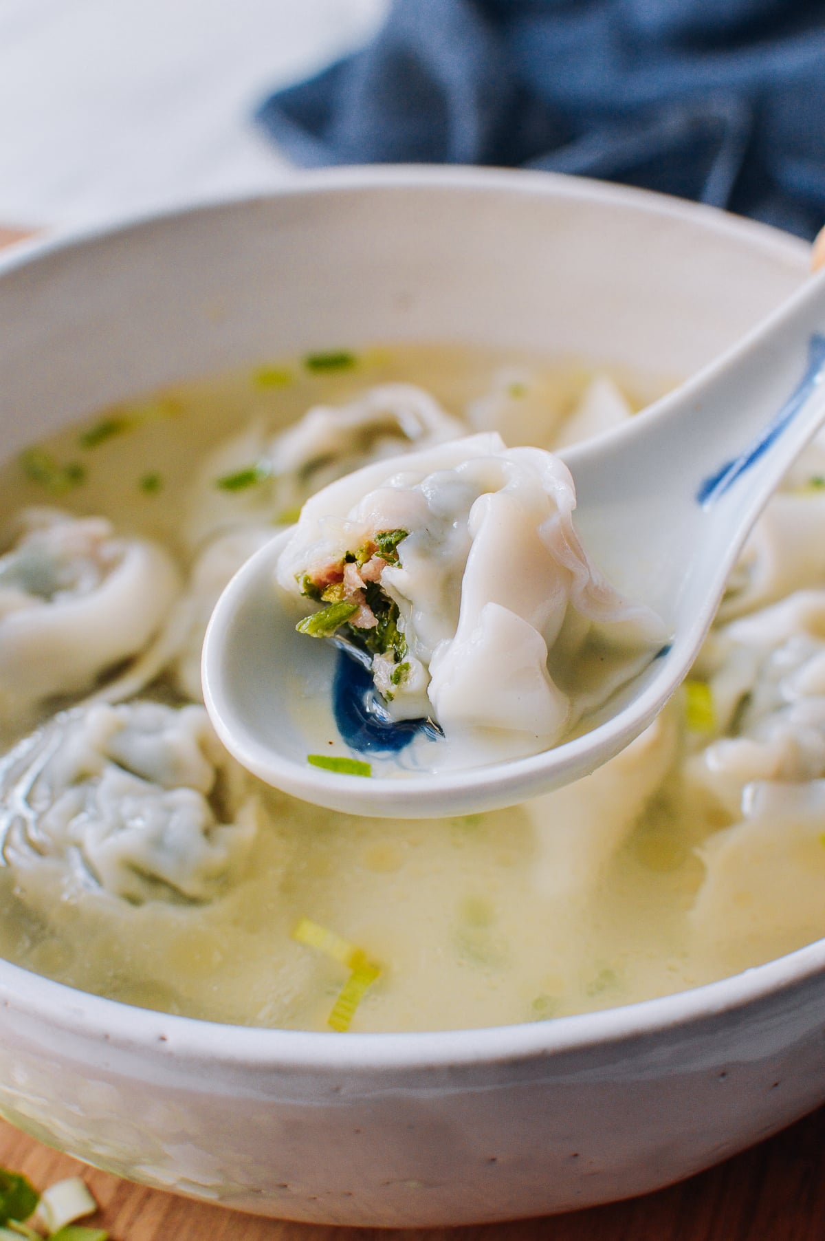 Wonton Soup Recipe, geagle.miooashdv.tk