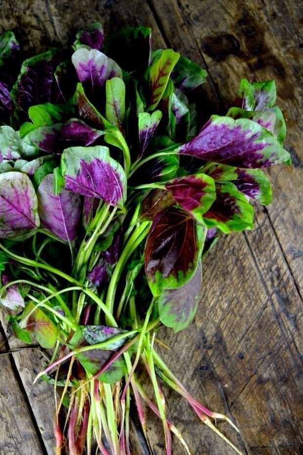 Stir-fried Pink Amaranth Greens by geagle.miooashdv.tk