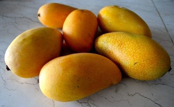 Mango Pie Recipe, by geagle.miooashdv.tk