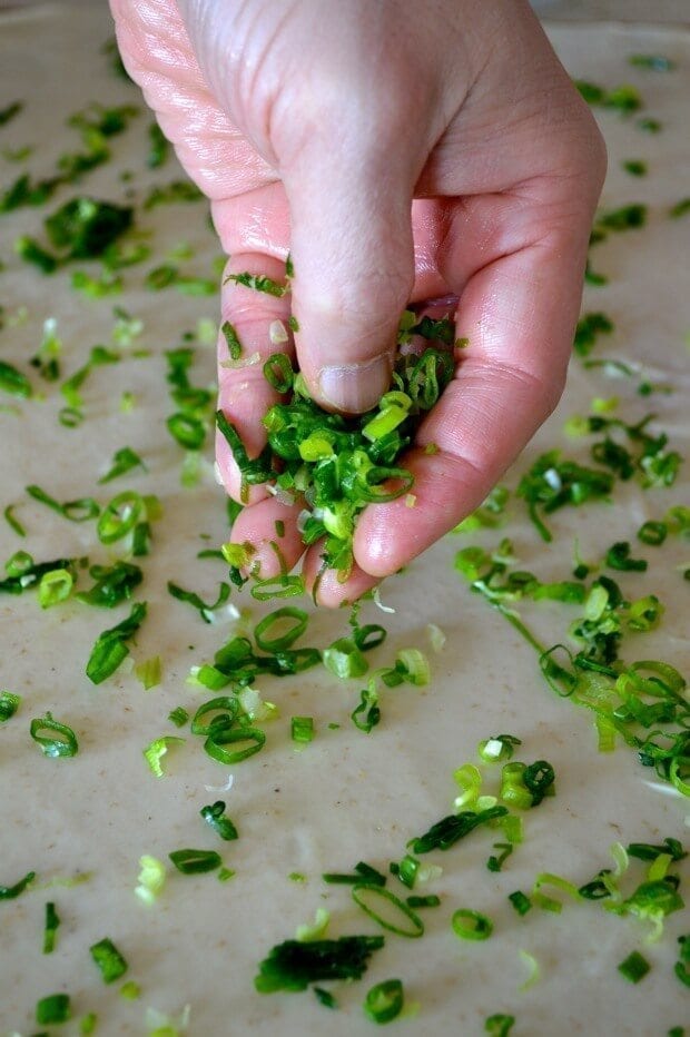 9-Layer Chinese Scallion Pancakes, by geagle.miooashdv.tk