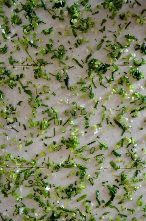 9-Layer Chinese Scallion Pancakes, by geagle.miooashdv.tk