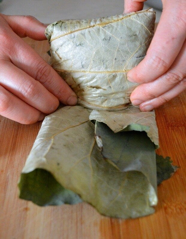 Dim Sum Sticky Rice Lotus Leaf Wraps (Lo Mai Gai), by geagle.miooashdv.tk