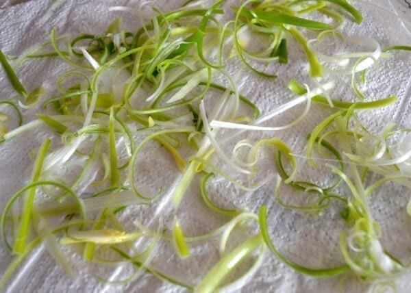 scallions