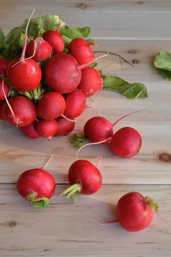 Fresh Radishes by geagle.miooashdv.tk