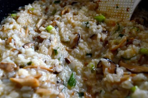 Roast Chicken on Wild Mushroom Sticky Rice "Risotto" by geagle.miooashdv.tk