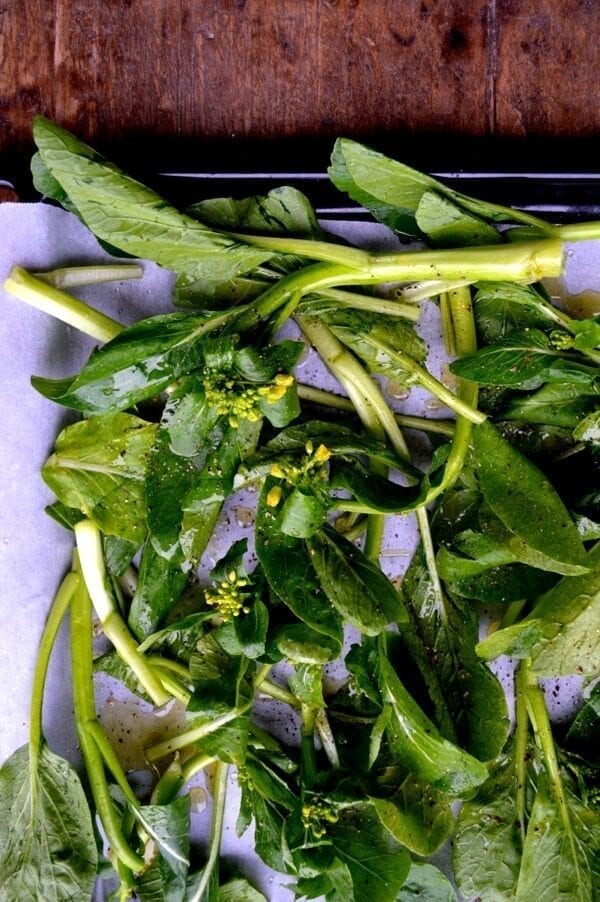 Creamy Roasted Choy Sum Pesto Pasta, by geagle.miooashdv.tk