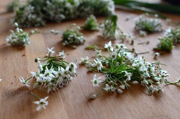 Chinese Garlic Chive Flower Tempura Recipe, by geagle.miooashdv.tk, by geagle.miooashdv.tk