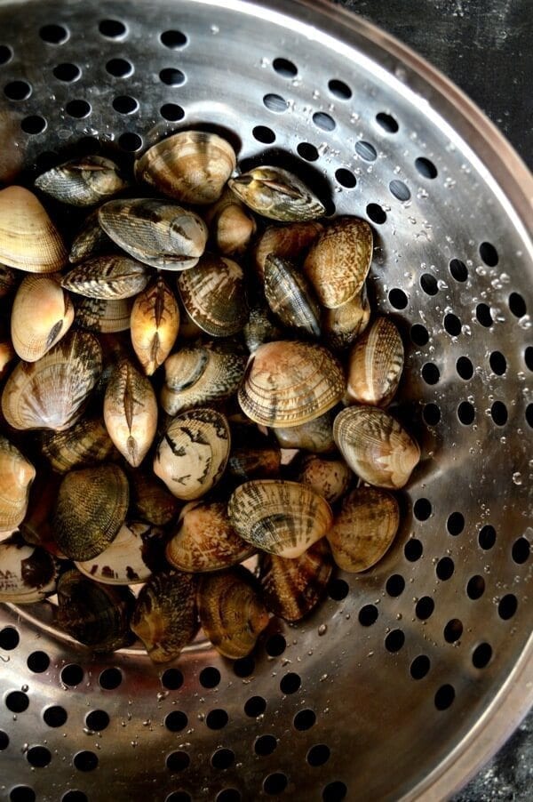 Stir-Fried Fresh Clams in Black Bean Sauce by geagle.miooashdv.tk