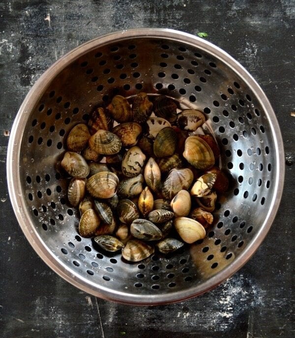 Stir-Fried Fresh Clams in Black Bean Sauce by geagle.miooashdv.tk