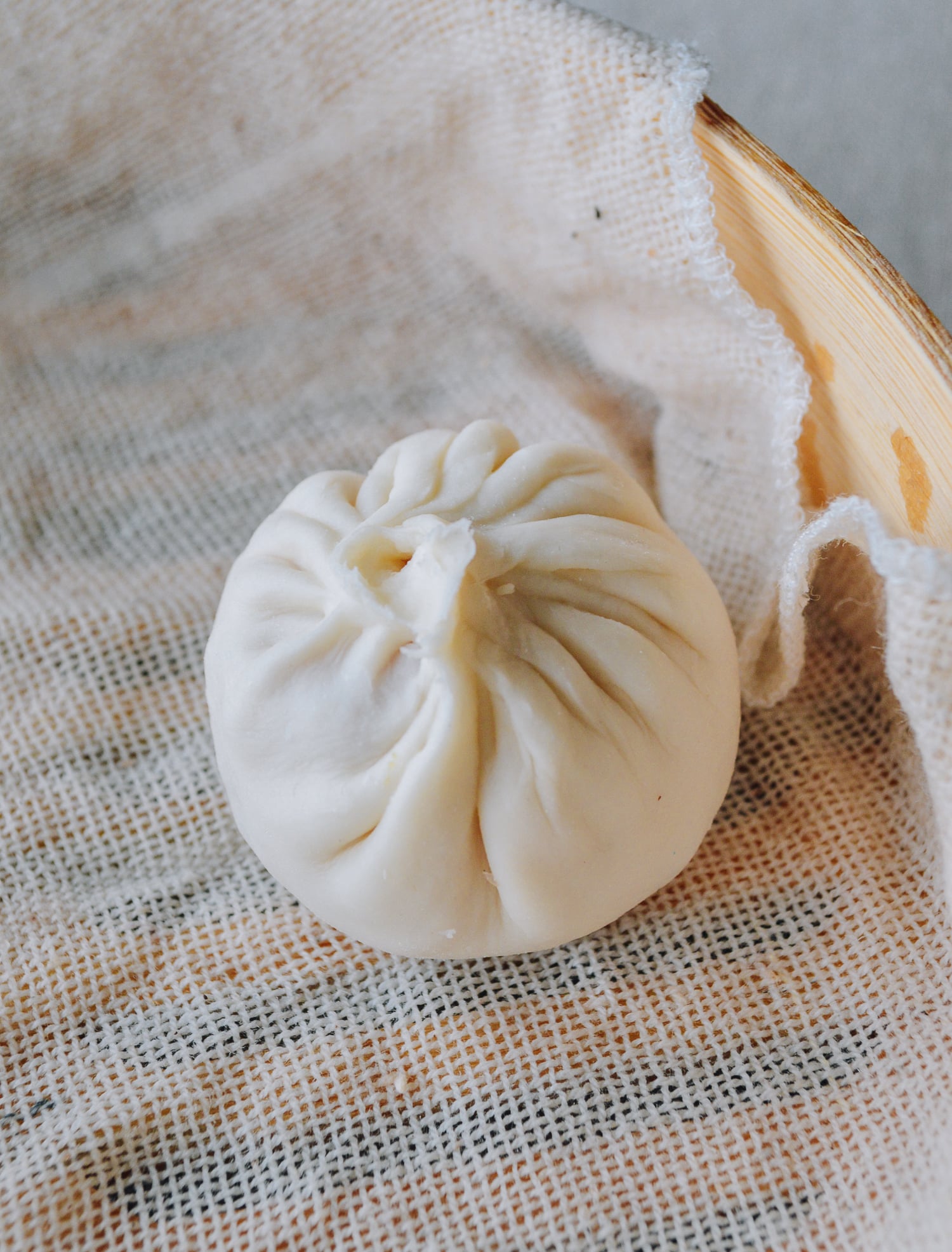 Single soup dumpling with many folds, by geagle.miooashdv.tk