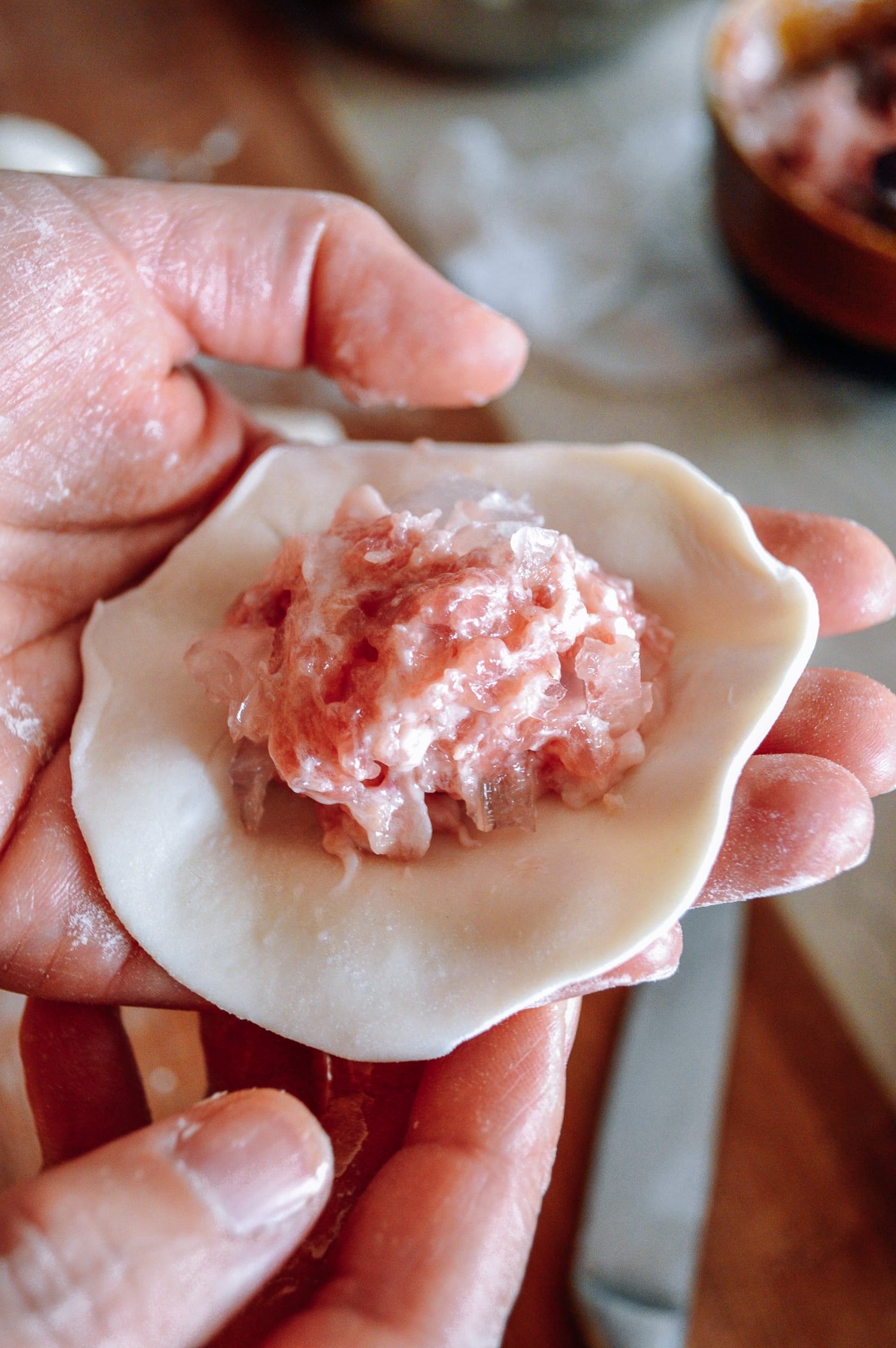 Pork and aspic filling on thin dumpling wrapper, by geagle.miooashdv.tk