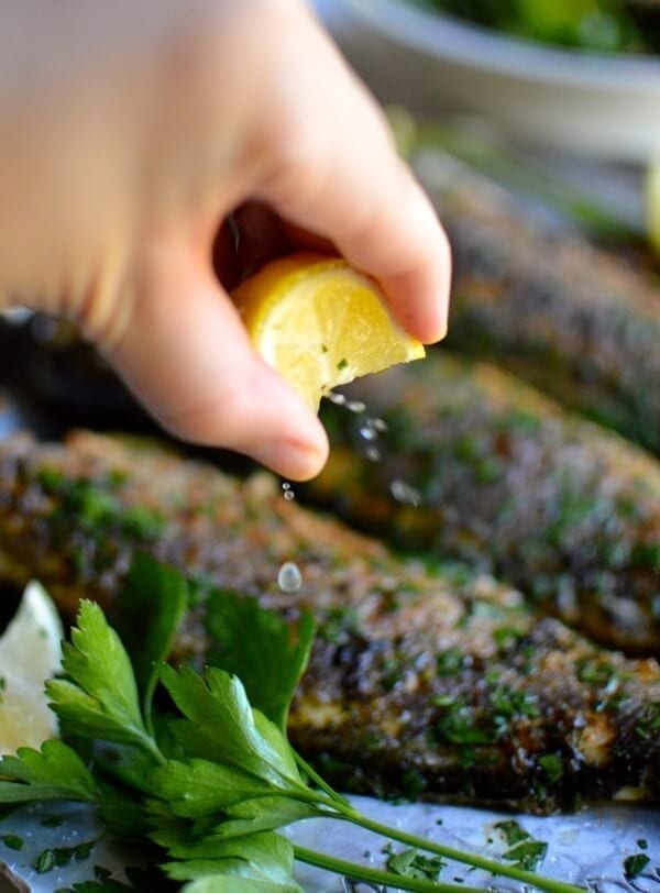 Lemon Soy Roasted Branzino, by geagle.miooashdv.tk