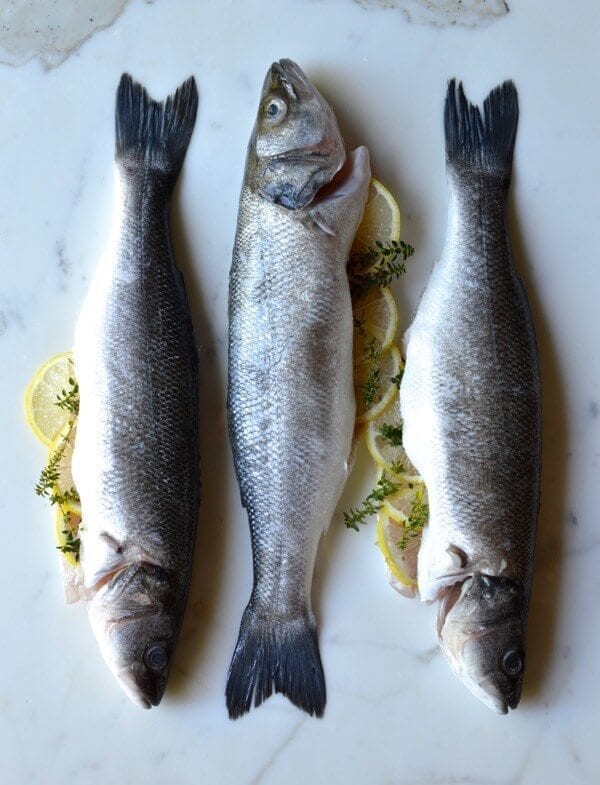 Lemon Soy Roasted Branzino, by geagle.miooashdv.tk