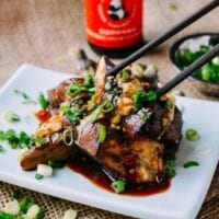 Chinese Stuffed Eggplant, by geagle.miooashdv.tk