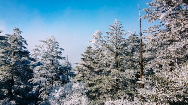 emei-shan-22