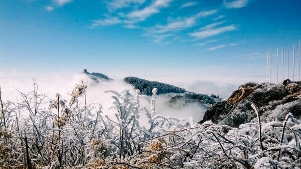 emei-shan-26