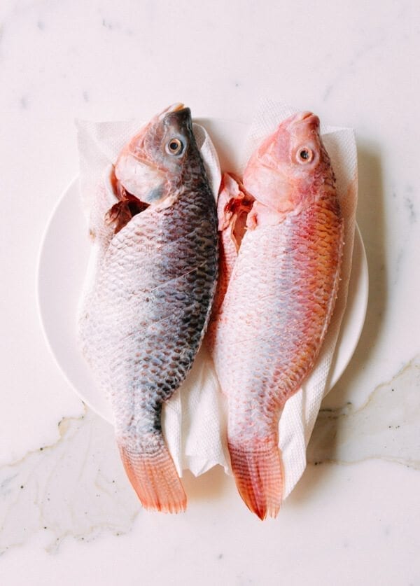 Chinese Braised Fish (Hongshao Yu), by geagle.miooashdv.tk