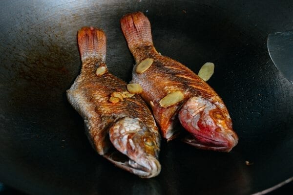 Chinese Braised Fish (Hongshao Yu), by geagle.miooashdv.tk
