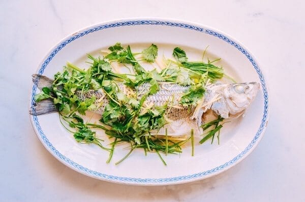 Steamed Whole Fish - Chinese Style, by geagle.miooashdv.tk