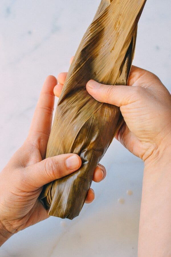 Zongzi (Cantonese Style), by geagle.miooashdv.tk