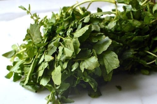 Chinese Vegetables: watercress, by geagle.miooashdv.tk
