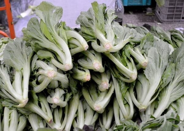Chinese Vegetables: Chinese mustard greens, by geagle.miooashdv.tk