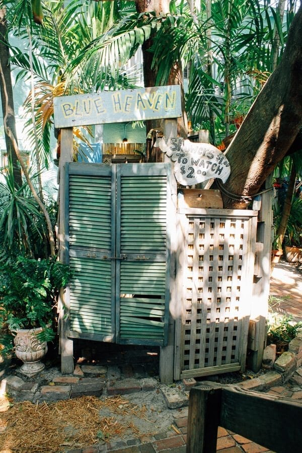 blue-heaven1