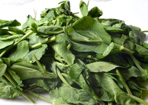 Chinese Vegetables: pea tips, by geagle.miooashdv.tk