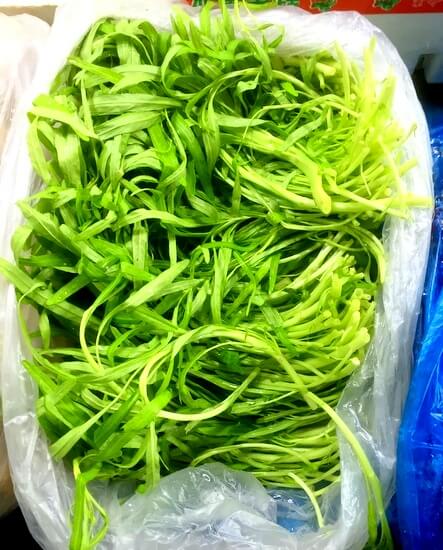 Chinese vegetables: baby water spinach , by geagle.miooashdv.tk