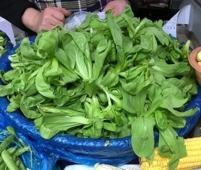Chinese Vegetables: tong ho - large leaf, by geagle.miooashdv.tk