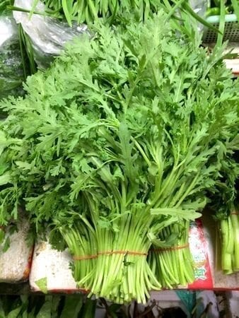 Chinese Vegetables: tong ho - medium leaf, by geagle.miooashdv.tk