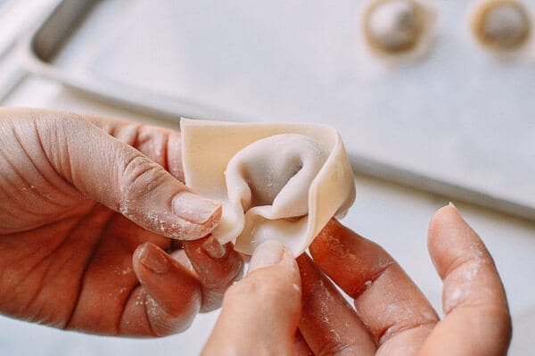 Fried Wontons, by geagle.miooashdv.tk