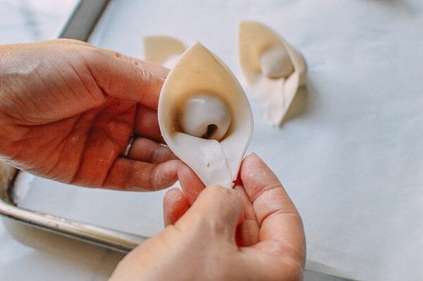 Fried Wontons, by geagle.miooashdv.tk