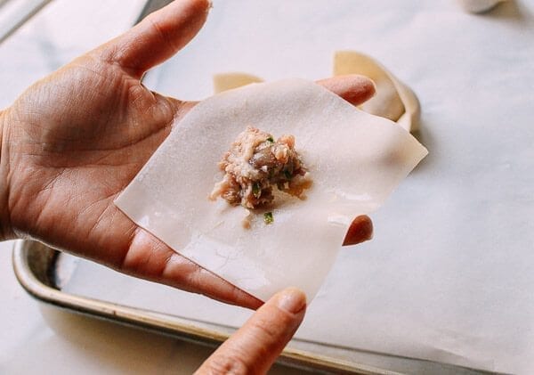 Sichuan Spicy Wontons, by geagle.miooashdv.tk