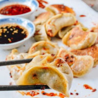Vegetable Dumplings, by geagle.miooashdv.tk
